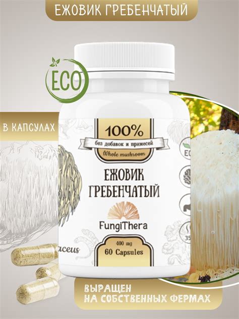 Ежевик гребенчатый 60 капсул / ежевик гребенчатый / ежовик гребенчатый ...