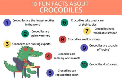 Fascinating Facts About Crocodiles