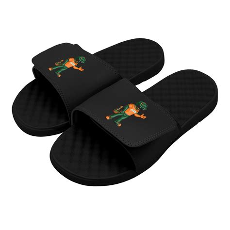 FAMU Mascot Slides - ISlide