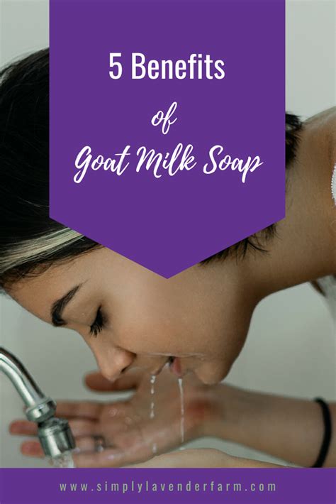 The Many Benefits Of Goat Milk Soap Natural Goat Milk Soap Milk Soap