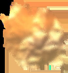 KIMI Hot Stamping Malaysia St Premium Finishing Hub