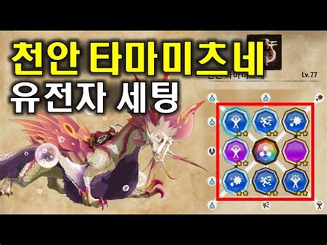 몬스터헌터 스토리즈2 천안 타마미츠네 유전자 세팅 (수속 범용) | Soulseer Mizutsune Build - YouTube