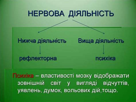 Поняття про вищу нервову діяльність та її основні типи - презентация онлайн