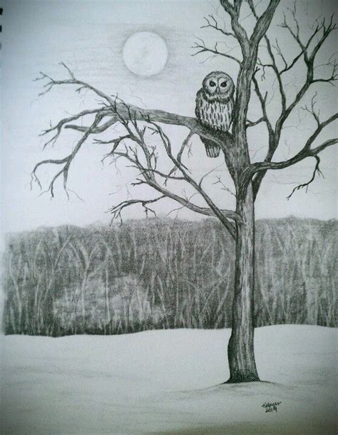 Winter Owl Scene Pencil Sketch by K. Meyer