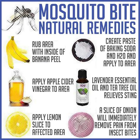 Mosquito bite remedies | Stuff to Try | Pinterest