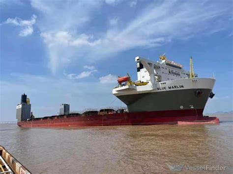 Blue Marlin Heavy Load Carrier Details And Current Position Imo