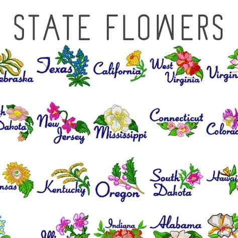 50 State Flowers Machine Embroidery Designs Floral Embroidery Etsy UK