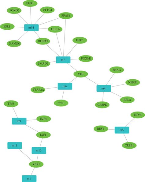 Regulatory network map constructed by transcription factors (TFs) for ...