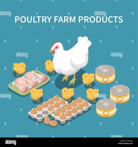 Poultry Farm Products Blue Background With Live Hen And Chicks