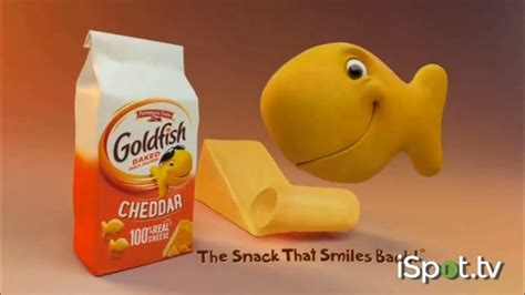 Goldfish Crackers The Snack That Smiles Back Modern Version