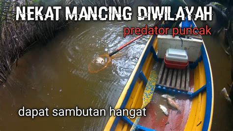 Nekat Mancing Diwilayah Sang Predator Puncak Hulu Sungai Youtube