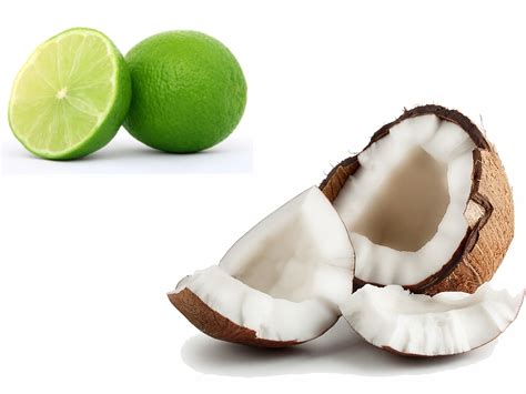 Coconut Lime Verbena Fragrance Oil Bescented Soap And Candle Making Supplies