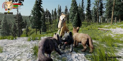 Best Animal Games On Steam