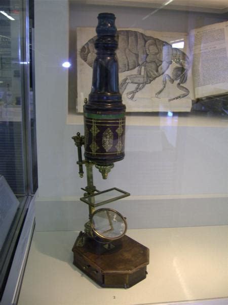 Antique Microscope Display Cloudy Days Microscopes Cloudy Nights