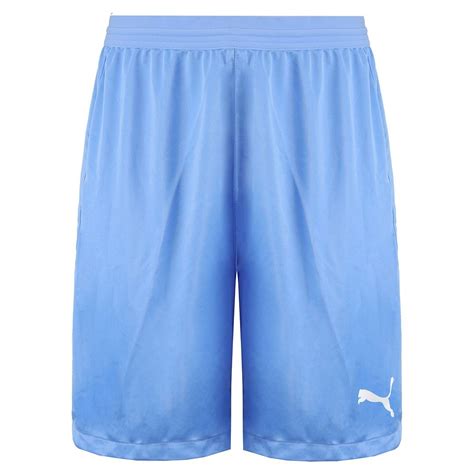 Puma DryCell TeamFinal 21 Stretch Waist Mens Light Blue Shorts 704257 18