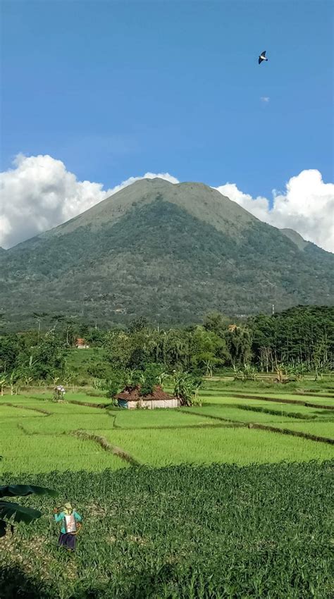 QUATES 26 SYAWAL Tantangan Menulis Hari Ke 241