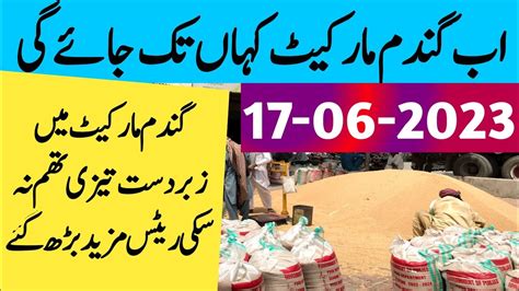 New Wheat Price In Pakistan Wheat Update Today Gundam Ka Rate