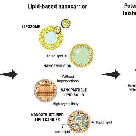 Schematic Illustration Of Plant Based Lipid Nanocarriers Used As