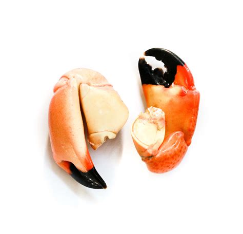 Download Stone Crab Claws Isolated Wallpaper