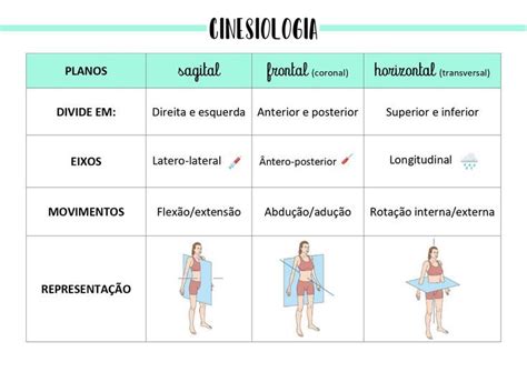 Pin Em Anatomofisiologia