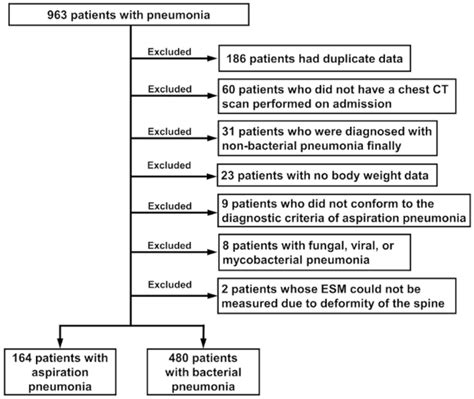 Flowchart Of The Study CT Computed Tomography EMS Erector Spinae