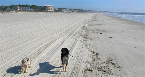 Cape San Blas Beaches