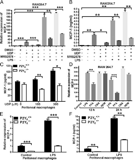 Released Eudp Induces The Expression Of Mcp 1 A Raw 2647 Cells Were