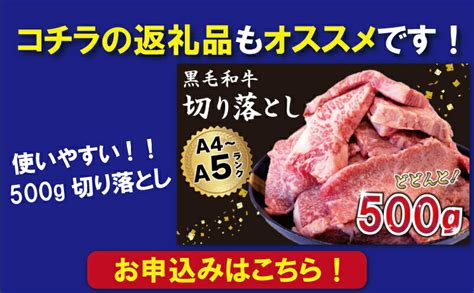 【楽天市場】【ふるさと納税】 黒毛和牛 切り落とし 500g 1kg A5等級 阿波華牛 和牛 牛肉 ぎゅうにく 牛 ぎゅう うし 肉 ビーフ