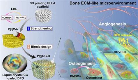 Ecm D Acs Nano X Mol