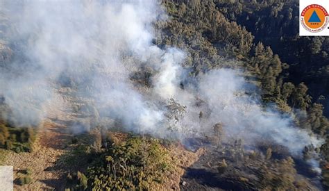 Tim Gabungan Akhirnya Berhasil Padamkan Karhutla Di Gunung Arjuno