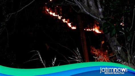 Hektare Hutan Di Ponorogo Terbakar Waspada Lur