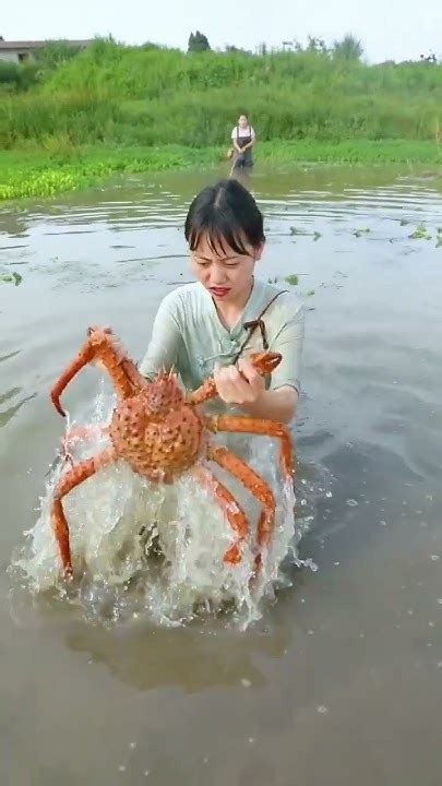 【村裏一枝雪妹妹】農村妹子野河釣烏龜 突然魚鉤一沈 竟然連人帶竿被「怪物」拖下水 美食分享 農村生活 Shorts Youtube