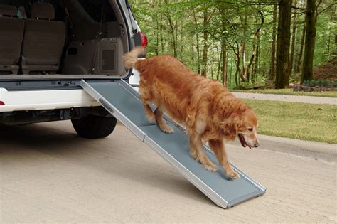 3 Expert Tips To Choose Dog Ramps & Stairs - VisualHunt