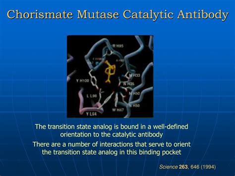 Ppt Enzyme Catalysis Powerpoint Presentation Id5349643