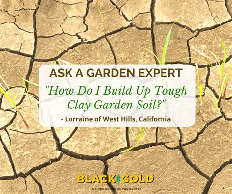 How Do I Build Up Tough Clay Garden Soil Black Gold