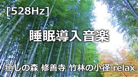 528hz 睡眠導入音楽 癒しの森 修善寺 竹林の小径 癒し 音楽 528hz 528 Relaxing Youtube