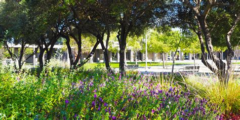 Cupertino City Hall Gardens John Northmore Roberts And Associates