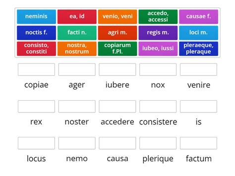 L10 - Stammformen - Match up