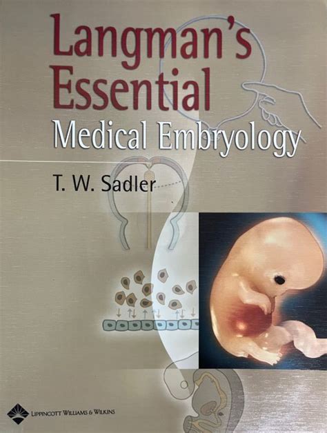 Langmans Essential Medical Embryology Lazada