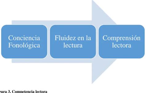 Niveles de Comprensión El desarrollo de procesos lectores y