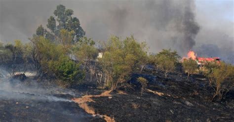 Ecomafie Calano I Controlli Causa Covid Ma Aumentano I Reati Contro