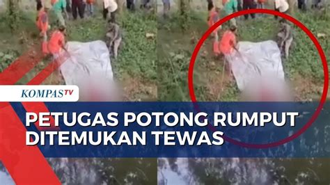 Geger Temuan Jenazah Petugas Pemotong Rumput Di Bantargebang Polisi