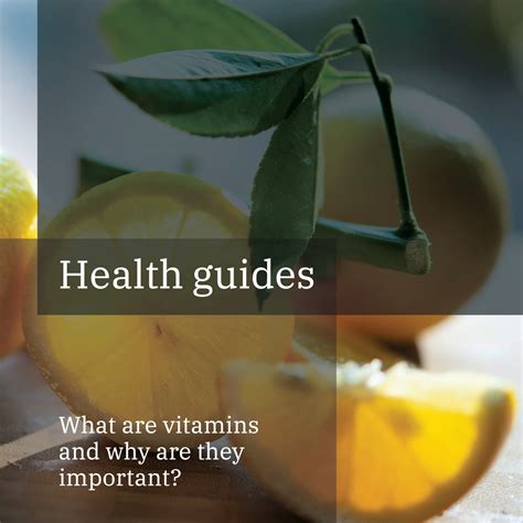 What are vitamins and why are they important? – Liberty Life Essentials