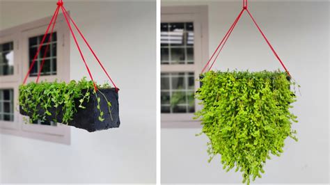 How To Make Rectangular Hanging Planter Diy Cement Planters Youtube