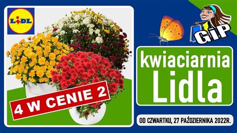 Lidl Oferta Od Czwartku Kwiaciarnia Lidla Youtube