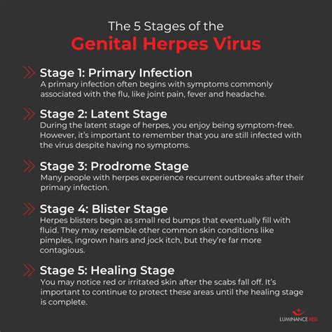 The 5 Stages of Genital Herpes & How To Manage Them – Luminance RED