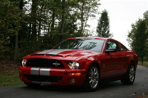 It's Like a Shelby Mustang Buffet - MustangForums