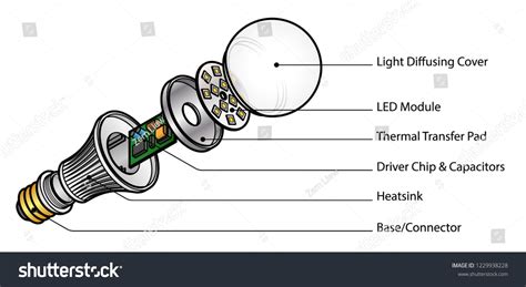 Exploded Diagram Led Light Emitting Diode Stock Vector (Royalty Free ...