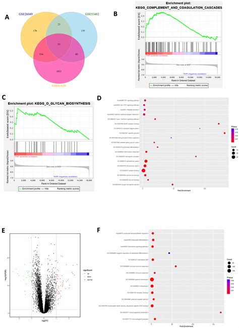 Transcriptome Profiling Reveals Target In Primary Myelofibrosis