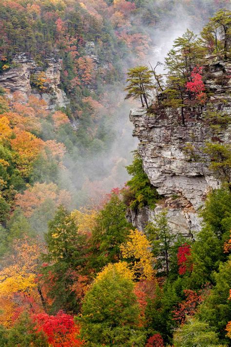 18 Prettiest Places For Fall Foliage In Tennessee